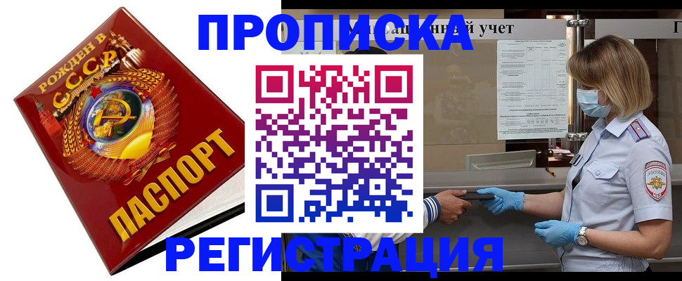 прописка штамп в Гвардейске